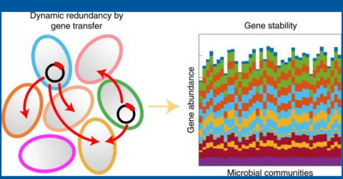 Microbial Job Stability Duke Department of Biostatistics and Bioinformatics